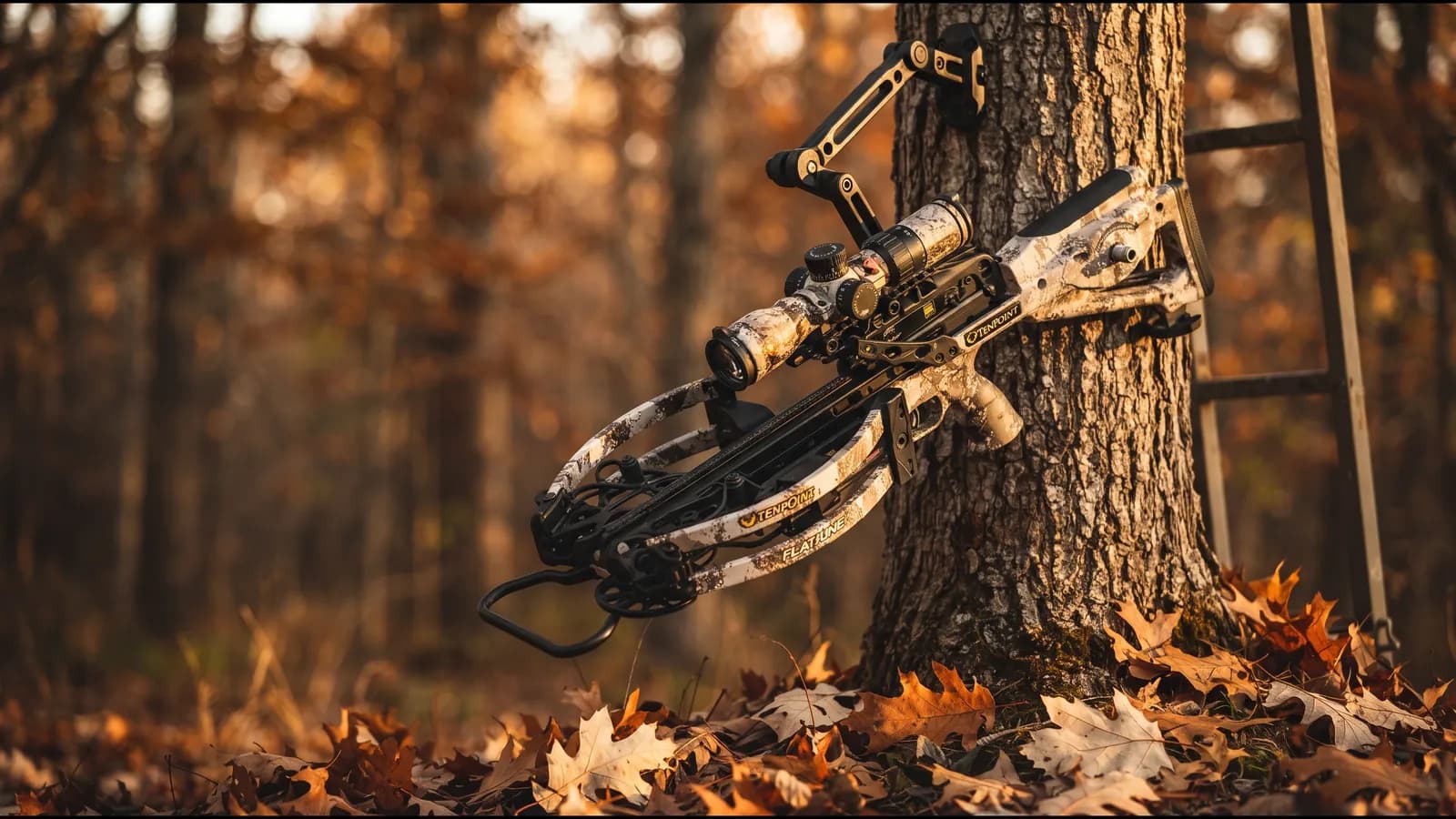Compact reverse-draw crossbow hanging on an oak trunk beside a ladder stand at golden hour