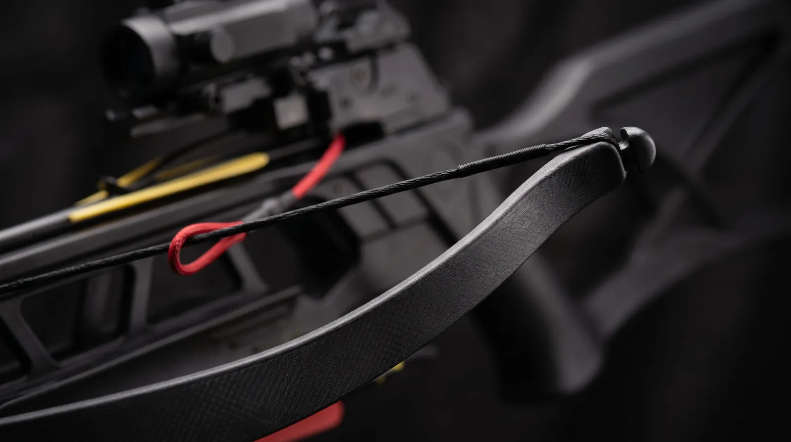 Close-up of the recurve limbs and string on a compact crossbow