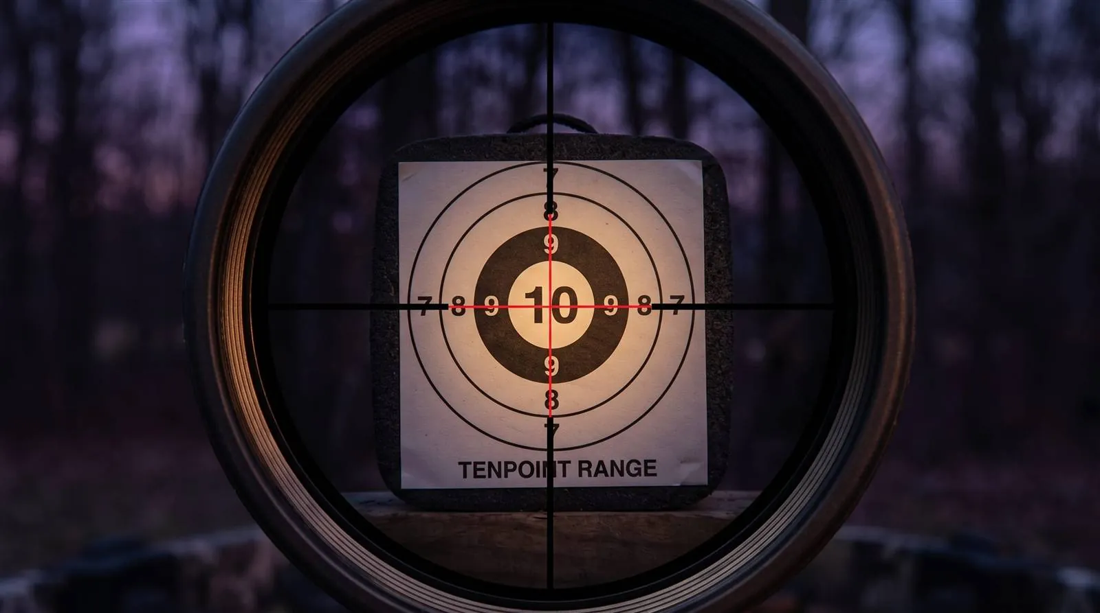 Illuminated crossbow scope reticle visible against a dim dusk background during a low-light test